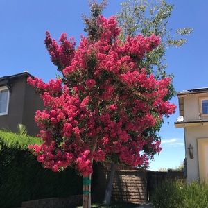 Meet your Posher, Sophia